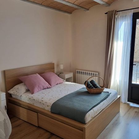 Apartament El Niu Dels Ocells Sant Joan de les Abadesses Zewnętrze zdjęcie