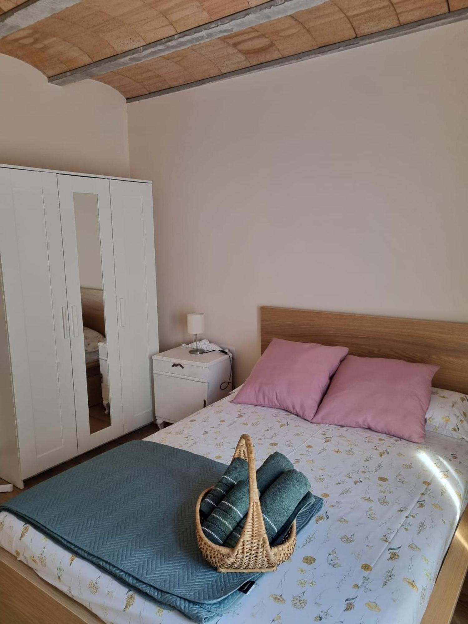 Apartament El Niu Dels Ocells Sant Joan de les Abadesses Zewnętrze zdjęcie