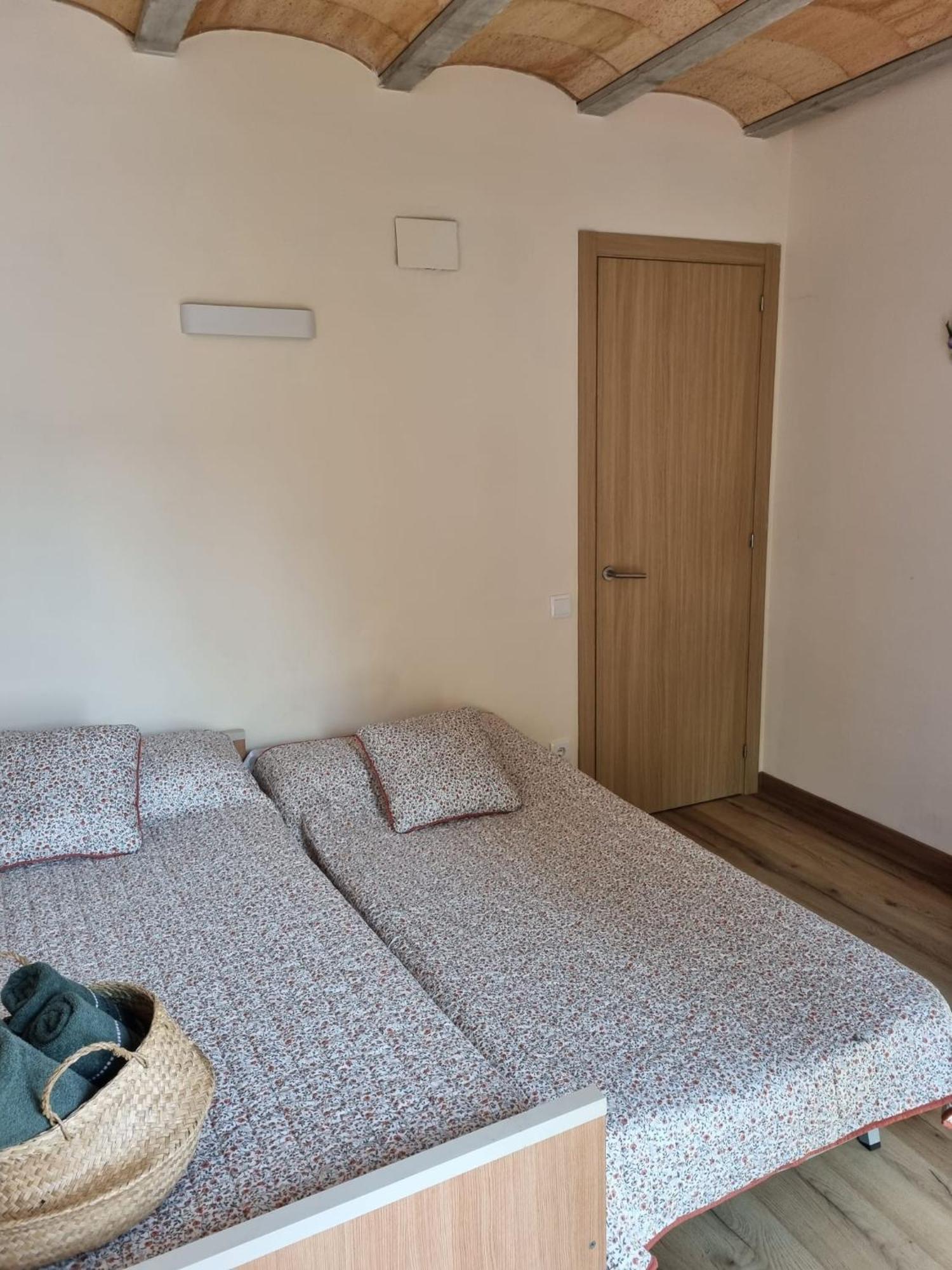 Apartament El Niu Dels Ocells Sant Joan de les Abadesses Zewnętrze zdjęcie